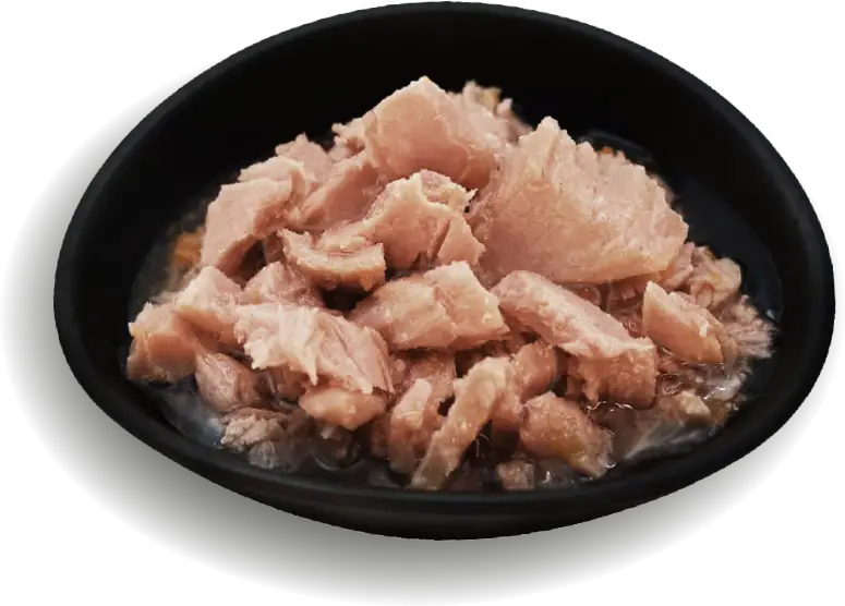 tronchetti di filetti